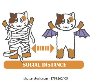 Happy Halloween  with a cute cats