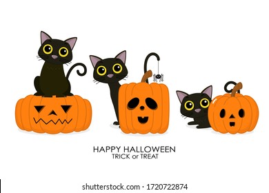 Happy Halloween greeting card with cute black cat and spooky pumpkin. Animal holidays cartoon character. -Vector.