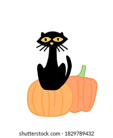 Happy Halloween greeting card with cute black cat and spooky pumpkin. Animal holidays cartoon character