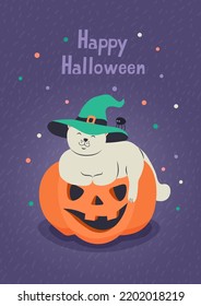 Happy Halloween greeting card with cute kitten wearing a witch's hat and jack-o-lantern pumpkin. Hand drawn lettering and vector illustration.