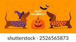 Happy Halloween greeting card with dachshund dog. Dachshund in Halloween costume. Halloween Dog  Design Bundle. Set of dogs wearing costumes. Cute Pets dressed for carnival party cartoon vector 