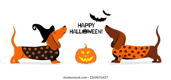 Feliz tarjeta de saludo de Halloween con perro dachshund. Dachshund con disfraz de Halloween. Paquete de diseño de perros de Halloween. Un grupo de perros con disfraces. Mascotas cortas vestidas como vectores de caricatura del partido de carnaval 