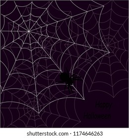 Happy Halloween. Illustration with a cobweb on a purple background