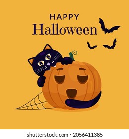 Happy halloween invitation card. A dark cat sits on an orange pumpkin with spider webs and bats. Vector illustration