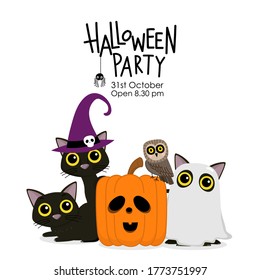 Happy Halloween party invitation card with cute black cat and spooky pumpkin wear witch hat. Animal holidays cartoon character. -Vector.