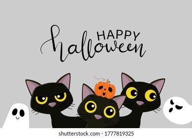 Happy Halloween party invitation card with cute black cat, pumpkin and spooky ghost. Animal holidays cartoon character. -Vector.