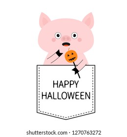 Happy Halloween. Pig face head in the pocket. Pumpkin. Cute cartoon animals. Piggy piglet character. Dash line. White and black color. T-shirt design. Baby background. Flat design Vector