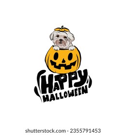 Happy Halloween postcard with coton de tulear maltese dog peeking out from the pumpkin. Dog head in pumpkin with paws. October hand-drawn calligraphy with halloween funny icons. Festive Creative art.