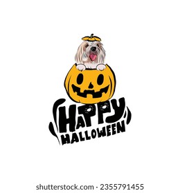 Happy Halloween postcard with coton de tulear maltese dog peeking out from the pumpkin. Dog head in pumpkin with paws. October hand-drawn calligraphy with halloween funny icons. Creative Halloween Art