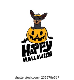 Happy Halloween postcard with Miniature Pinscher dog peeking out from the pumpkin. Dog head in pumpkin. October hand-drawn calligraphy with halloween funny icons. Festive Creative Halloween Art Work. 