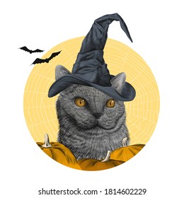 Happy Halloween Poster Print with british cat in witch hat, pumpkins, bat, spider web on background, Halloween Decor, Party Sign, hand drawn sketch art