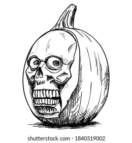 Happy Halloween pumpkin with a cut skull. Hand-drawn graphics. Black and white vector illustration 