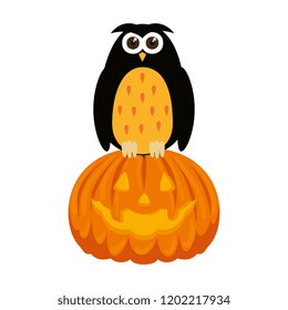 happy halloween pumpkin with owl