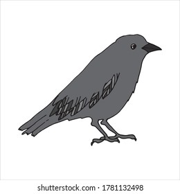 Happy Halloween. Raven bird sitting - vector illustration, logo, emblem black and white, one color. Drawing lines. Halloween design element.