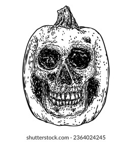 Happy Halloween scary smiling pumpkin with human skull. Celebrating Jack O Lantern pumpkin. Traditional Halloween harvest symbol and autumn holiday decor. Hand drawing sketch. Vector.