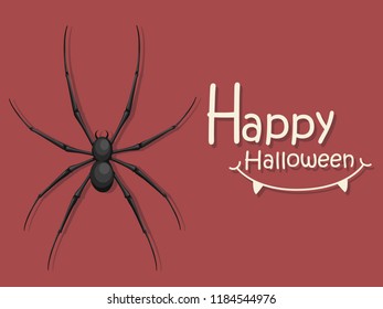 Happy Halloween. Spider cartoon icon. Gift and decorative element on holiday. Vector Illustration.