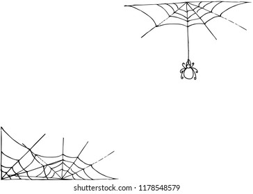 Happy Halloween. Spider. Hand drawn vector illustration.