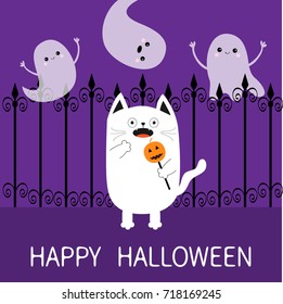 Happy Halloween. Spooky frightened cat holding pumpkin face on stick. Forged iron fence. Three flying ghosts hands up Boo. Funny Cute cartoon baby character. Flat design. Violet background. Vector