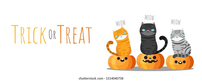 Happy Halloween. Three cats sitting on halloween pumpkins with lettering "Trick or Treat". Cute cartoon character. Vector illustration.