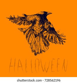 Happy Halloween vector banner with lettering and raven drawing. Isolated holiday illustration with message