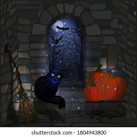 Happy Halloween vip card with black cat and pumpkin, vector illustration