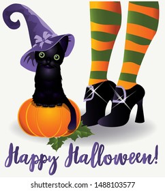 Happy Halloween wallpaper. Black cat and witch, vector illustration