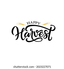 Happy Harvest- Hand drawn lettering Harvest festival with wheat. Autumn phrase on a white background for your design. Can be printed on greeting cards, paper and textile design, Poster, banner.