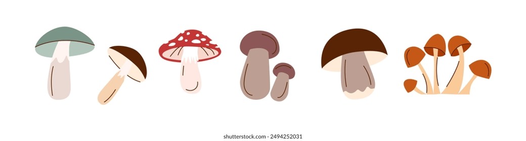 Happy harvest. Set of mushrooms. Autumn mushrooms in flat style isolated on white. Autumn, harvest, Thanksgiving concept.