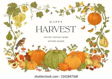 Happy Harvest. Vector frame. Autumn botanical illustration. 