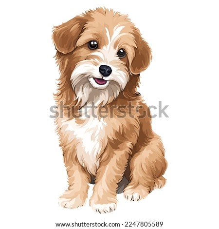 happy havanese dog hand drawn digital painting watercolor illustration