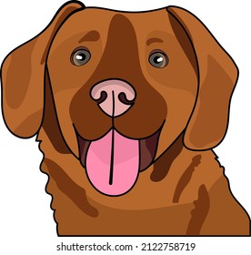 Happy and healthy dog. Smiling dog, labrador, retriever, golden. Cute dog face portrait. Vector dog portrait.