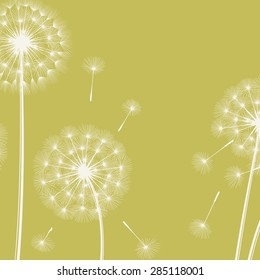 Happy holiday card with dandelions. Vector illustration.