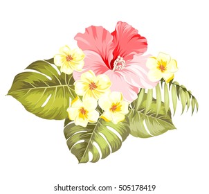 Cluster Tropical Hibiscus Flowers Jungle Leaves Stock Vector (Royalty ...