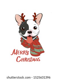 Happy holidays card with cute funny french bulldog dog in reindeer horn and 
in a red knitted scarf. Merry Christmas  phrase lettering. 
Greeting card, poster, design for textiles with a puppy smiling