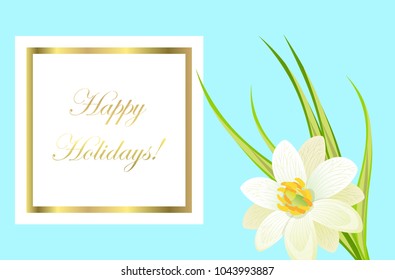 Happy holidays framed card with white narcissus on green stem with long leaves on azure background. Congratulation postcard with flower for women