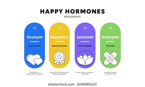 Happy hormones diagram infographic template with icon for presentation has dopamine, serotonin, oxytocin and endorphin. Love hormone, reward chemical, mood stabilizer and pain killer. Happy chemistry.