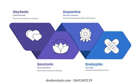 Happy hormones diagram infographic template with icon for presentation has dopamine, serotonin, oxytocin and endorphin. Love hormone, reward chemical, mood stabilizer and pain killer. Happy chemistry.