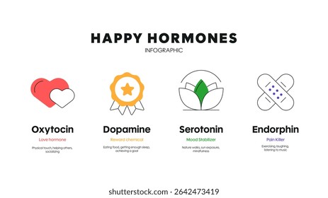 Happy hormones diagram infographic template with icon for presentation has dopamine, serotonin, oxytocin and endorphin. Love hormone, reward chemical, mood stabilizer and pain killer. Happy chemistry.