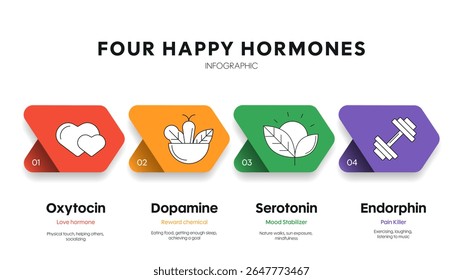 Modelo infográfico de diagrama de hormônios felizes com ícone para apresentação tem dopamina, serotonina, oxitocina e endorfina. Hormônio do amor, química de recompensa, estabilizador do humor e analgésico. Feliz química.
