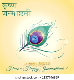 Happy Janmashtami vector illustration. Indian festival greeting card with peacock feather