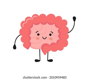 Happy kawaii character of small and large intestine. Human body internal organ of the gastrointestinal tract. Abstract bowels. Vector illustration isolated on white background.