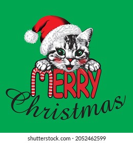 Happy kitten faces with slogan Merry Christmas. Vector illustration.