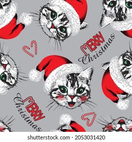 Happy kitten faces with slogan Merry Christmas on grey background. Vector illustration