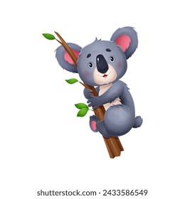 Happy koala bear cartoon character on branch. Australia jungle bear childish mascot, zoo animal funny character or koala cute isolated vector personage hanging on branch, climbing on tree