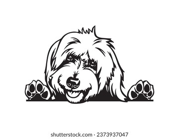 Happy Labradoodle peeking dog. Goldendoodle dog portrait. Black and white vector illustration. svg