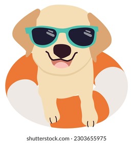 Happy Labrador retriever dog with sunglasses and floating ring, air mattress for summer