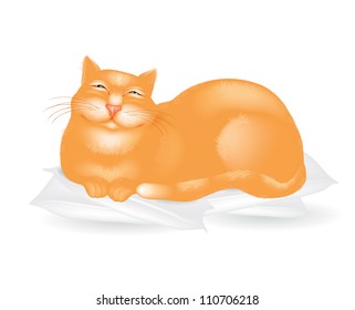 Happy lazy cat lying on the pillows