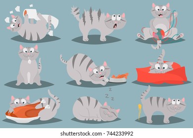Happy life of a cat color flat illustration set