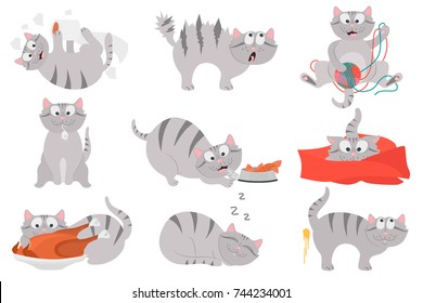 Happy life of a cat color flat illustration set