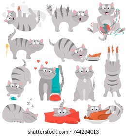 Happy life of a cat color flat illustration set